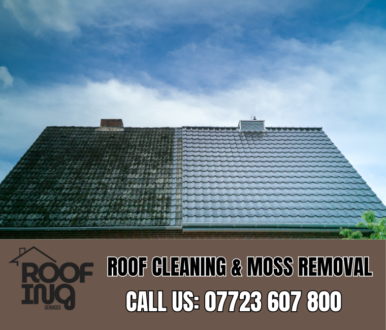 Roof Cleaning in Falmouth